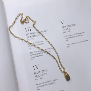 Sterling Silver Necklace Diamond Lock Net Red INS Popular Necklace Short Neck Chain